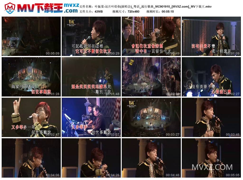 叶振棠-这片叶给你(演唱会)_粤语_流行歌曲_MC901910